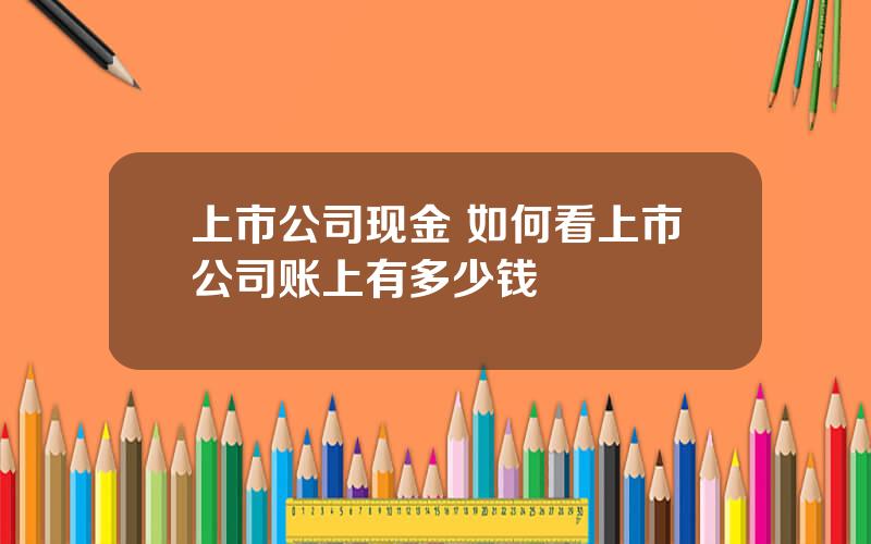 上市公司现金 如何看上市公司账上有多少钱